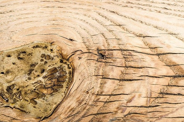 Rustikale Sitzbank im Antik-Boho-Stil aus Mangoholz, handgefertigt, mit variablen Maßen. Perfekt für Eingangsbereiche, Wohnzimmer oder Schlafzimmer. Jedes Stück ein Unikat.